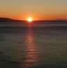 Single News